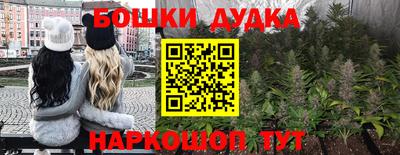 сатива Рязань
